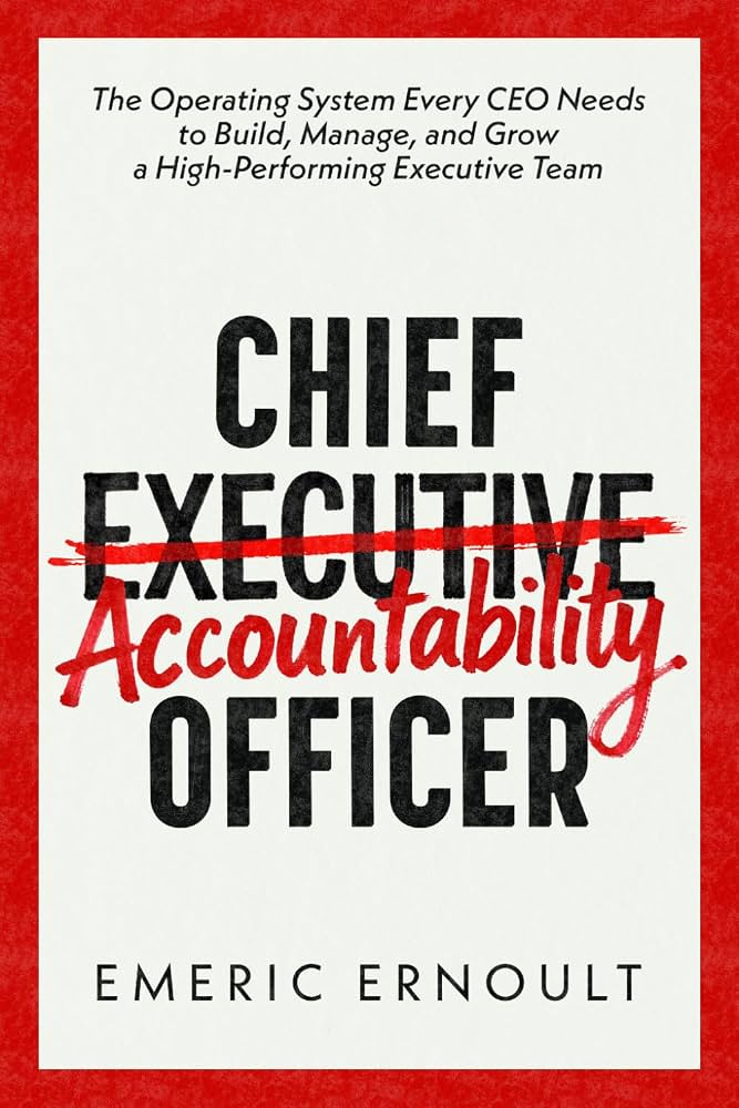 Chief Executive Accountability Officer book cover